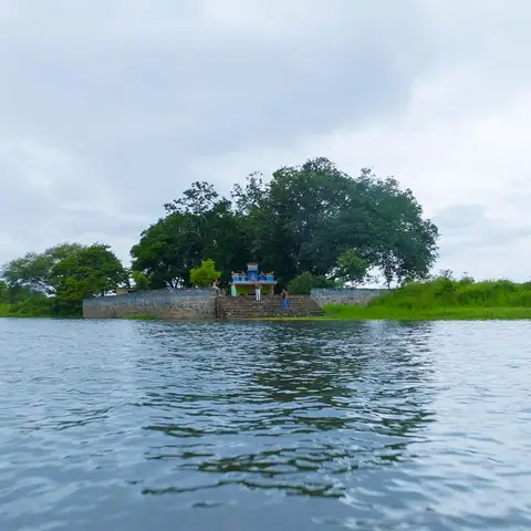 Walk along the river and learn about the native birds from the in-house ornithologist.